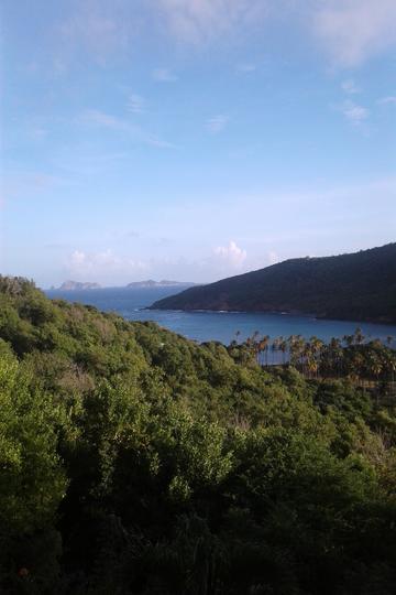 View from top porch
